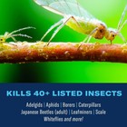 Bioadvanced 12 Month Tree And Shrub Protect Feed Ii  4 Pound  Granules 