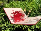 3d Pop Up Greeting Card Merry Christmas Santa Reindeer Sleigh Handmade  envelope