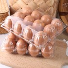 100pcs Clear Egg Cartons  Plastic Egg Holders Egg Cartons Cheap Bulk For Ranch C