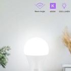 Led Light Bulbs  A19 Daylight 6500k Bulb  12w 6500k Daylight  White 