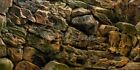 Aquarium Background Poster Rock Wall Hd Fish Tank Decor Landscape 24 36 48 72