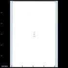 Old Vintage Photo Woman In Doorway With Mop