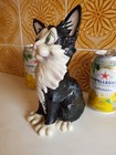 Pets With Personality - Cat - Comet - Black    White