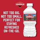 Arrowhead 100  Mountain Spring Bottled Water - 12 Fl 12 Oz  pack Of 12 