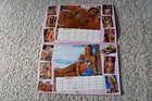 2002 Hooters Swimsuit Calendar Sexy Waitresses Swimwear Bikini