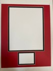 Picture Framing Mat 11x14 For 8x10 Sports Card  28  Your  Choice Of  Team Colors