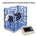 Livestock Scale With High Precision Indicator Floor Scale Kit 10000lbs Capacity
