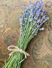 Dried Lavender Bundles  grown Oregon  2024 Bundles 1 Bundle Each