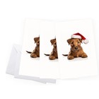 Distinctink Christmas Greeting Card - Irish Terrier Puppy