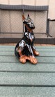 Vintage Ceramic Doberman Pinscher Figurine Mid Century Dog Statue Home Decor 