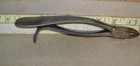 Antique 1800s Dental Pliers 7-1 2  Forceps Vtg Tool Tooth Extractor Maker Marked