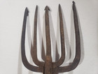 5 Prong Spear Fishing Eel Sucker Salmon 17  Hand Forged Steel Iron Maine Antique
