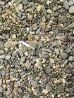 Half Moon Bay Westport Washington Grays Harbor County Sand Soil Sample Apx  30ml