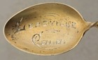 Antique Sterling Silver Enameled Leadville Colorado Souvenir Spoon Lily Orchid  