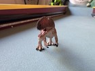 Safari Ltd Monolophosaurus Dinosaur Figure Toy Prehistoric 2014 Figurine