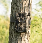 Stealth Cam Stc-fxwt Fusion- X Pro Trail Camera  36mp Dual Network  On Demand