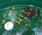 3 Pounds Rich Unsearched Gold Paydirt - Gold Panning Concentrates Added Gold 