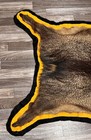 Javelina Hog Taxidermy Rug Head Mount Fine Dressed Cabin Oddities Boar Pig 1980