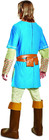 Men s Plus-size Link Breath Of The Wild Deluxe Adult Costume