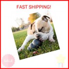 Kong Extreme Dog Toy - Fetch   Chew Toy - Treat-filling Capabilities   Erratic B