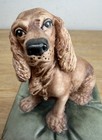 Capodimonte Porcelain Hand Made Cocker Spaniel Figurine Italy Signed By Defendi