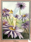 Rare Disney Fine Art Delicate Petals Tinker Bell Lithograph Michelle St Laurent