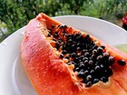 20  dwarf Solo Waimanalo Tree Seeds   carica Papaya  Fast Fruit Houseplant