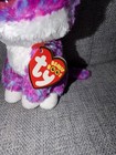 Ty Beanie Boo Charlotte 6  Nwt Claire s Exclusive 2017 Pink Kitty Cat