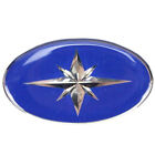 Polaris New Oem Snowmobile Atv Pwc Star Logo Self-adhesive Domed Decal 7078465