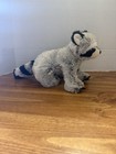 Ganz Webkinz Raccoon 8  Beanbag Plush Gray Black Hm143 No Code Retired