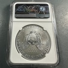 2019-w Burnished Silver Eagle Ngc Ms69  Early Releases  89272 