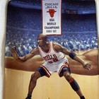 Michael Jordan Bradford Exchange Collectors Plate   tough D    With Coa