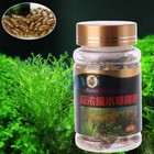 60pcs Aquarium Water Plant Root Fertilizer Nutrition Aquatic Fish Tank 