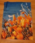 Flowers Flag Garden 12 5   18  New In Package