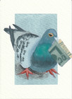 Aceo Print Of Original  ballin  Pigeon Painting By Innynieves