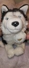 Siberian Husky Webkinz Signature  No Code