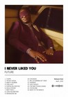I Never Liked You - Future Album Poster 20x30  Custom Music Canvas Poster