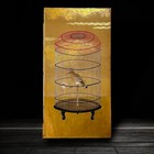 Unusual Painting  Depicting Caged Bird  Late Edo Period 18-19 Th C   Zh86
