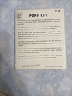 Lot Of 18 Micro-slides Set  12 Pond Life From National Teaching Aids