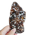 80 9g Sericho Pallasite Meteorite Slice - From Kenya Ta209