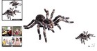 Realistic Giant Whiteknee Tarantula Figure - Perfect For Education   Halloween
