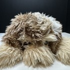 Fao Schwarz Brown And White Dog Laying Down Stuffed Animal Plush Toy 19 