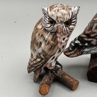 2 Beautiful Vintage Handcarved And Painted Wooden Owls On Logs