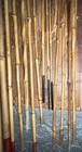 Antq Bamboo Fishing Poles  10-13 Ft  No Splits no Fungi  8  2-piece Rods 