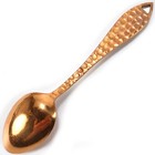 Montana Copper Souvenir Spoon Hammered Etched Bitterroot Mountains Mining Tools