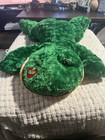Dan Dee Frog Plush Stuffed Animal From 2010