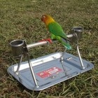 Parrot Activity Center Perch Bird Play Stand Toy Stand Portable Stainless Steel
