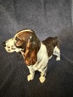 Royal Doulton English Springer Spaniel Brown White Bone China Dog Figurine