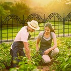Tall Garden Fence Animal Barrier Fence With Gate  36 In h  X 27 In w  10 Panels