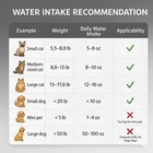 Stainless Steel Cat Water Fountain 3 2l Pet Drinking Fountain Dispenser For Cats
